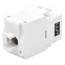 Conector RJ45 Categoría 6 UTP WP