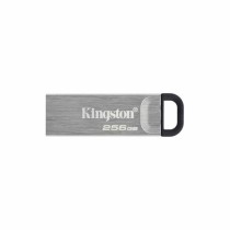 Pendrive Kingston DTKN/256GB USB 3.2 Prateado Preto 256 GB