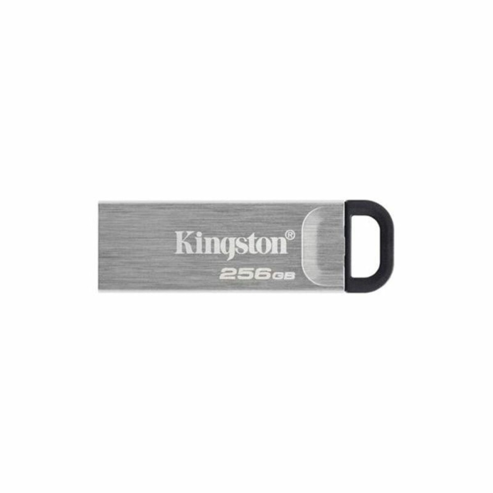 Pendrive Kingston DTKN/256GB USB 3.2 Silberfarben Schwarz 256 GB