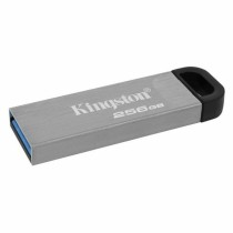 Pendrive Kingston DTKN/256GB USB 3.2 Silberfarben Schwarz 256 GB