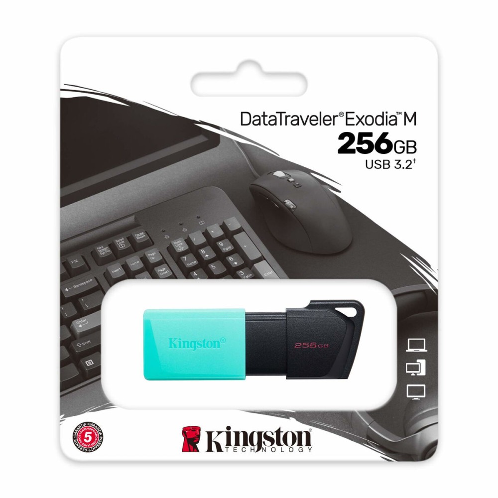 Pendrive Kingston DTXM/256GB Schlüsselanhänger Schwarz türkis 256 GB