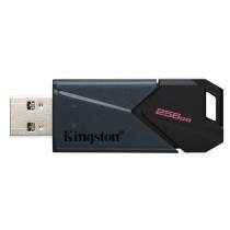 USB Pendrive Kingston DTXON/256GB 256 GB