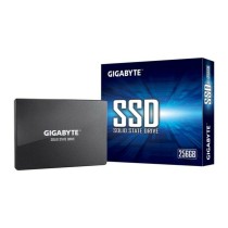 Festplatte Gigabyte GP-GSTFS31256GTND 256 GB SSD