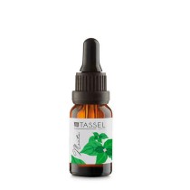 Olio Essenziale Eurostil ESENCIAL MENTA Menta (15 ml)