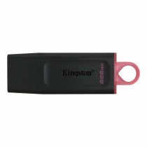 USB Pendrive Kingston DTX/256GB Schlüsselanhänger Schwarz 256 GB