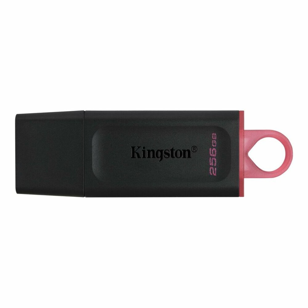 Memoria USB Kingston DTX/256GB Portachiavi Nero 256 GB