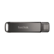 Memoria USB SanDisk SDIX70N-256G-GN6NE Negro