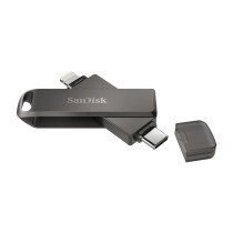 Memoria USB SanDisk SDIX70N-256G-GN6NE Negro