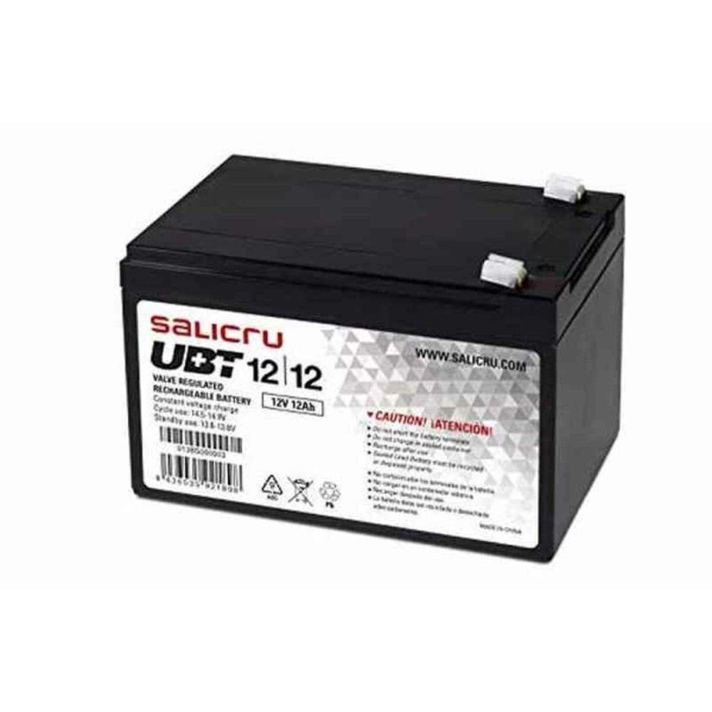 BatteriaperGruppodiContinuitàUPSSalicru013BS00000312ah12v