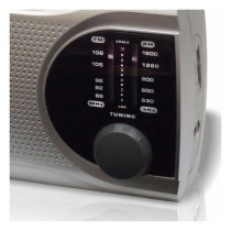 AM/FM-RadioHaegerSurround