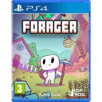 PlayStation4VideoGameMeridiemGamesForager