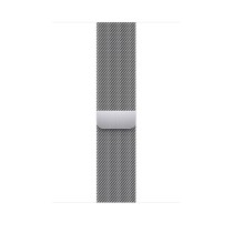 Correa para Reloj Apple Watch Apple Gris Plateado 45 mm