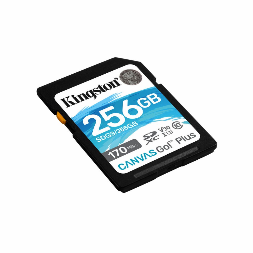 Scheda Di Memoria SD Kingston SDG3/256GB 256GB 256 GB