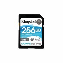 Cartão de Memória SD Kingston SDG3/256GB 256GB 256 GB