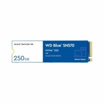 Hard Disk Western Digital WD Blue SN570 Interno SSD 250 GB 250 GB SSD