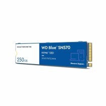 Hard Disk Western Digital WD Blue SN570 Interno SSD 250 GB 250 GB SSD