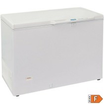 Freezer Tensai TCHEU290DUOF White (110 x 69 x 87 cm)