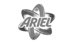 Ariel